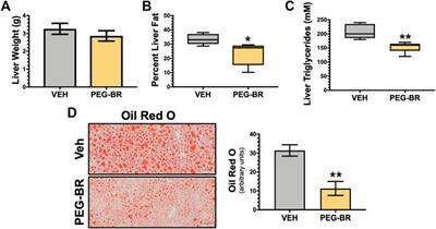 Bilirubin Nanoparticles Reduce Diet-Induced Hepatic Steatosis, Improve Fat Utilization, and Increase Plasma β-Hydroxybutyrate